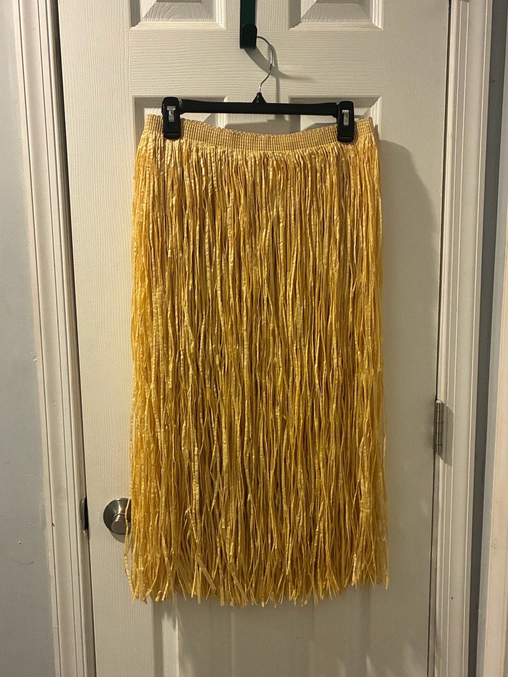Rubies Adult One Size Fits Most Hula Skirt. (30” Length, 34” Waist). $4